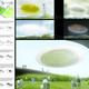 Finalist: Seattle Jelly Bean by PRAUD (United States)