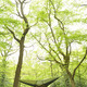 © Tentsile