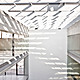 Ascent towards the places of work (Photo: Adrià Goula)