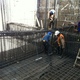 foundations