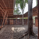 Cassia Co-op Training Centre by TYIN tegnestue Architects (atrium) photo by Pasi Aalto