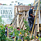 Photographs depicting last years’ Union Street Urban Orchard, produced by the same team as the Urban Physic Garden. Photographs copyright Mike Massaro.