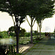 River view (Image: SOM)