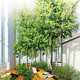 Interior view (Image: Murphy/Jahn Architects)