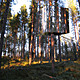 Shortlisted: Tree Hotel by Tham & Videgard Arkitekter