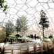 View of winter garden on the roof (Image: Djuric Tardio - Scriptogram.com)