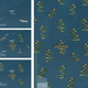 HONORABLE MENTION: OCEANIC AGRICULTURE, Daniel Moffatt