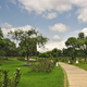 The beautiful, yet underutilized rose garden