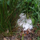 Piezometer installed in greywater bed