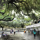 Winning team: Michael Van Valkenburgh Associates and Thomas Phifer & Associates