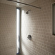 shower at the New Norris House