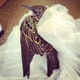 Saving birds from heating ducts in old buildings