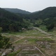 destroyed farming town