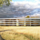 Copyright: Foster + Partners; Apple Inc.