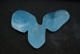 Work by Students, Alumni and Faculty