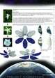 Work by Students, Alumni and Faculty