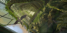 Work by Students, Alumni and Faculty