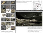 Work by Students, Alumni and Faculty