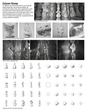 Work by Students, Alumni and Faculty