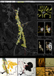 Work by Students, Alumni and Faculty