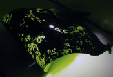Work by Students, Alumni and Faculty