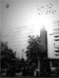 Work by Students, Alumni and Faculty