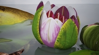 Work by Students, Alumni and Faculty