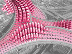 Work by Students, Alumni and Faculty