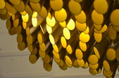 Work by Students, Alumni and Faculty