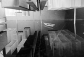 Work by Students, Alumni and Faculty
